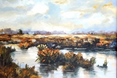 A-Holland-Marsh