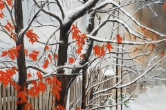 Backyard-Fence
