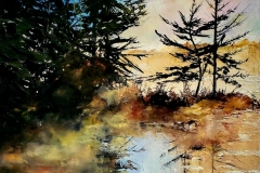 Bat-Lake-Algonquin-2