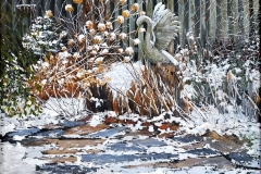 Garden-Heron-1-1
