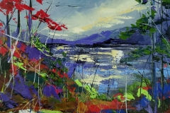 Land-of-Colours