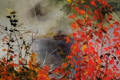 Mist-Over-Tea-Lake-Dam