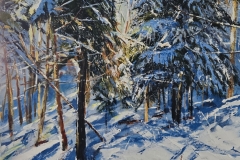 Muskoka-Winter