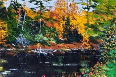 Oxtongue-Algonquin