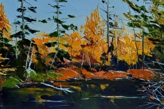 Oxtongue-Mini
