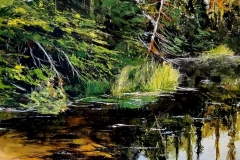 Pog-Lake-Algonquin-2