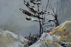 Rocks-and-Pine