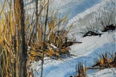 Sticks-and-Snow
