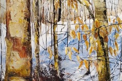 Textured-Forest-2-3
