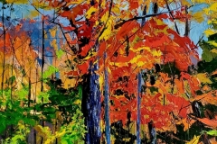 Those-Crazy-Fall-Colours