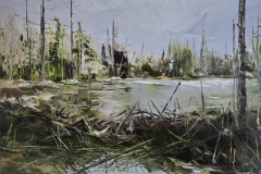 Where-Beavers-Play
