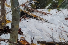 Winter-Forest-Floor-2
