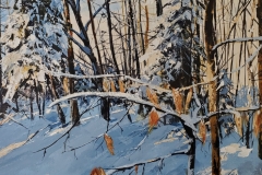 Winter-Morning