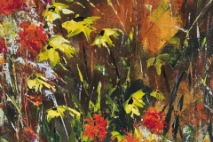 Embers-Of-A-Wild-Garden