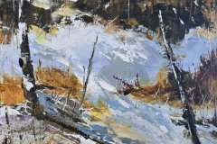 Small-Winter-Scene