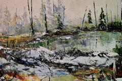 Winter-Dam